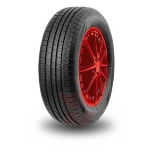 Fronway Ecogreen 55 165/65 R15 81H