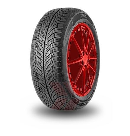Ilink Multimatch AS tyre