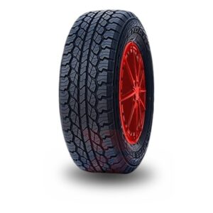 Rydanz Raptor R 09 215/70 R16 100H