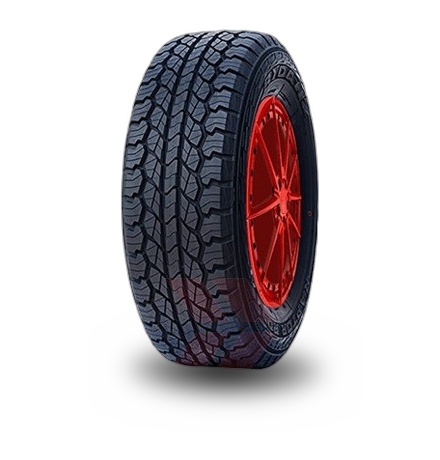 Rydanz Raptor R 09 tyre