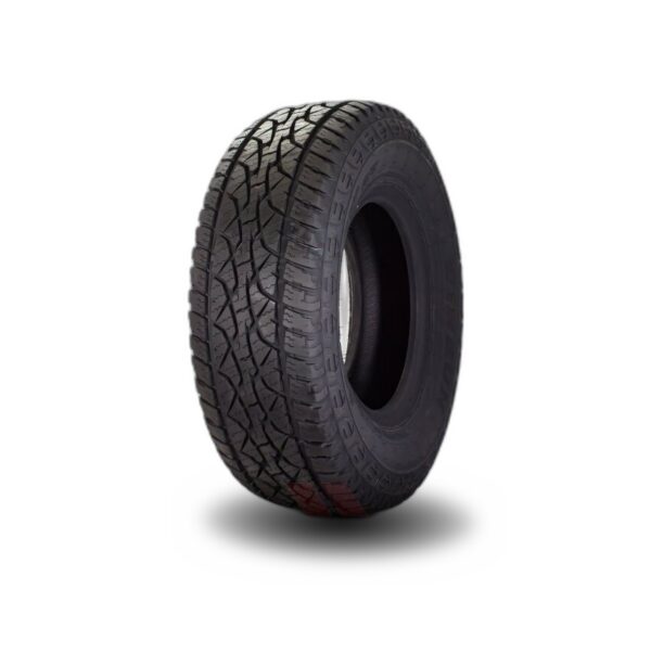 Winrun Maxclaw RT tyre
